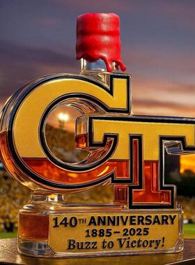 跨境包装玻璃工艺酒瓶 CT盛酒器 伏特加创意酒瓶 可改造型