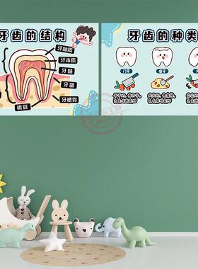 幼儿园保护牙齿环创结构图世界爱牙日正确刷牙步骤我的身体墙贴画