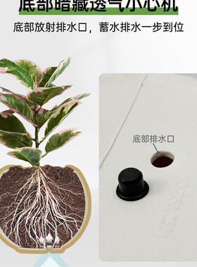 客厅轻奢感树脂花盆大号奶油风黑金刚橡皮树胖盆圆球形大花盆