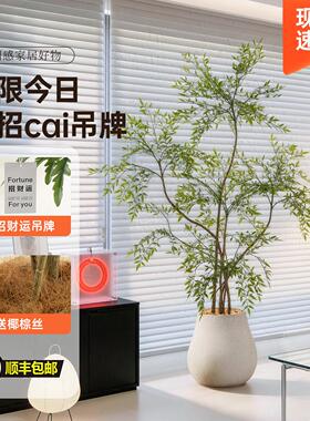 高级感仿真南天竹植物盆栽室内客厅装饰摆件家居落地轻奢仿生绿植