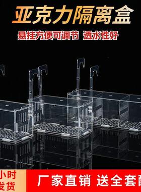 鱼缸挂篮植物固定架壁挂水培器皿定植篮压克力花盆定植蓝加深水草
