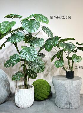 彷真龟背树竹热带绿植物样品屋展示中心室内阳台橱窗大型落地盆栽