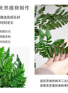 优质高山羊齿叶圣诞叶绿色叶材玻璃罩永生花装饰资材