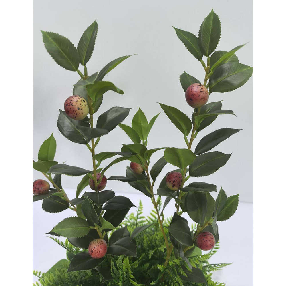 绿色植物家居卧室客厅装饰人造植物草仿真茶树果盆栽绿色草,淘宝优惠券,粉丝福利购,淘宝优惠卷