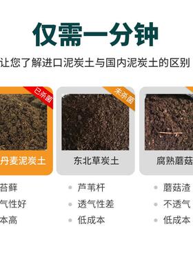 包邮多肉专用颗粒土植物种植营养土壤铺面石陶粒盆栽花进口泥炭土
