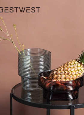 博西家居 北欧轻奢水果盘透明玻璃花瓶摆件 创意家居客厅水培花器