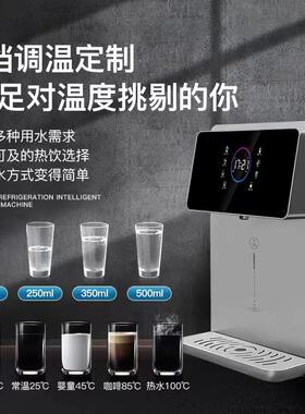 外贸饮水机即热式免安装冷热壁挂式管线机直饮机110台式水吧开水