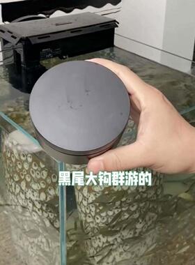 电动转盘底座展示台摆件人工饲养群游训练转盘架旋转圆盘展示台