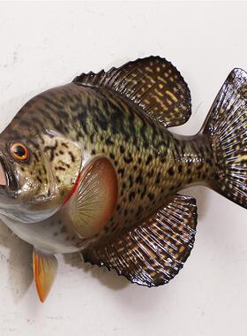 废物鱼模型海洋工艺品半边玻璃钢雕塑墙壁挂仿真鱼模型室内装饰品