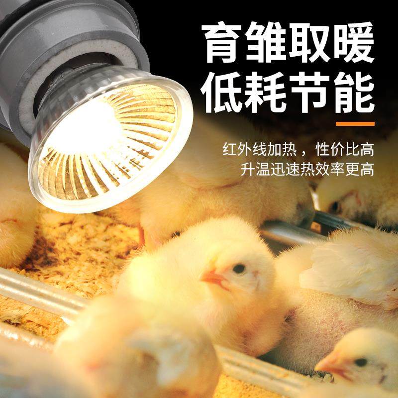 小鸡育雏保温灯芦丁鸡加热灯加温灯太阳灯鸡用取暖灯乌龟保暖灯泡,淘宝优惠券,粉丝福利购,淘宝优惠卷