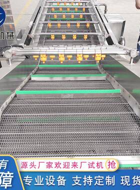 香菇气泡清洗机器木耳清洗机器多功能气泡清洗机加工设备