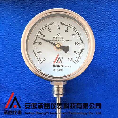 双金属温度计WSSF-481工业用温度表锅炉管道水箱不锈钢耐高温 - 图1