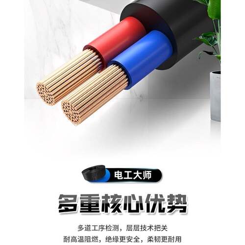 国标RVV电缆线234芯2.5/4610平方保护套软线阻燃监控电源线足平米 - 图0