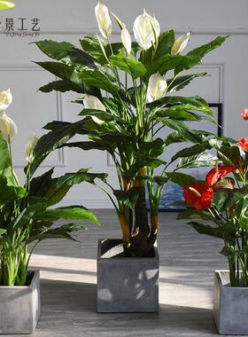 彷真北欧植物白掌火鹤花装饰盆景落地人造花卉盆栽带盆入室展厅花