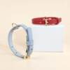 Pet dog collar leather puppy cat special French Dou Teddy small and medium-sized dog collar cute cat collar