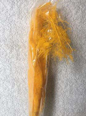 永生干花文竹绿色树枝空间设计插花材料花艺配草婚礼橱窗装饰布置
