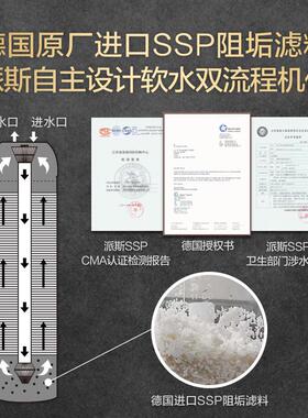 派斯无盐软水机 家用全屋中央软水器 别墅大流量阻垢净水系统