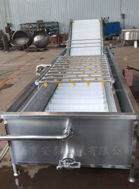 辣白菜加工气泡清洗机蘑菇高压喷淋清洗设备多功能青菜清洗机