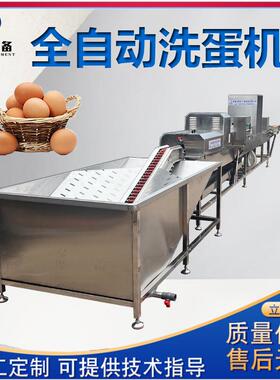 鸡蛋果洗蛋机鸭蛋自动清洗风干机泥蛋外皮去污设备蛋品加工
