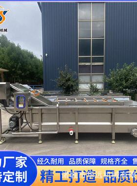 酸菜咸菜脱盐清洗设备全自动净菜加工设备 供应蚂蟥清洗漂烫预煮