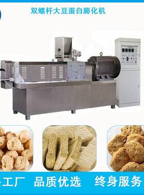 中小型组织蛋白生产线圆球状蛋白生产设备休闲素肉食品膨化机