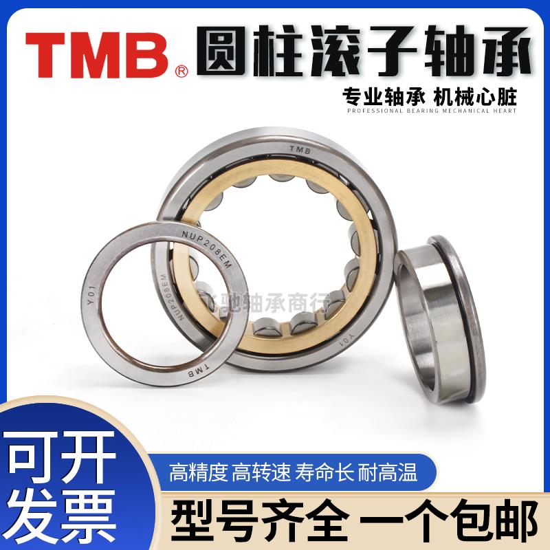 TMB圆柱滚子轴承N NU NJ202 203 204 205 206 207 208 209 210EM - 图1