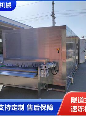 厂家直供隧道速冻机水果类速冻面食海鲜预制菜速冻机平板速冻