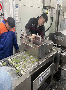 油炸海苔片的机器 天妇罗南瓜片油炸机 香酥翠叶上浆油炸设备