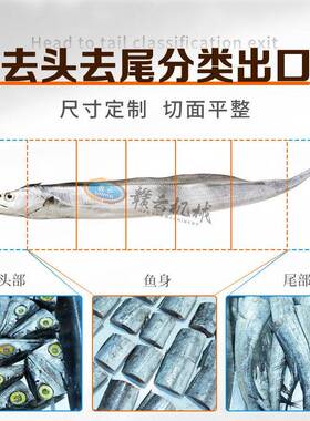 赣云自动带鱼切段机多功能鳗鱼分段设备整套自动鱼类深加工机器