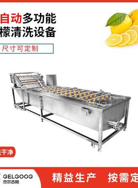 食品厂水果喷淋清洗机械柠檬清洗机全自动洗果机柠檬清洗设备