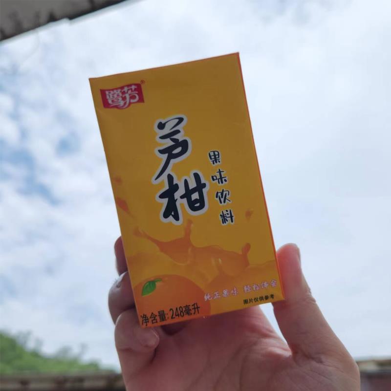福建特产鹭芳芦柑饮料网红夏季儿时饮品纸盒装整箱24盒*248ml