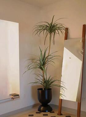 彷真绿色植物室内假树大型龙血树高级彷生植物落地盆栽景观装饰摆