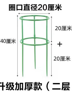 花架子火龙果太阳花月季绿萝花盆