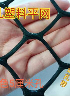 大孔塑料网封阳台防护围栏防猫网爬藤防坠宠物隔离养殖鸡鸭鹅网格