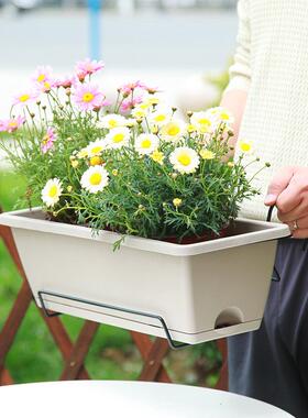 长方形加厚霍伦懒人塑料种植花瓶