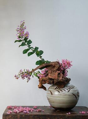 自然风化沉木枯木 杜鹃木插花微景观造景木头 鱼缸造景木雕摆件