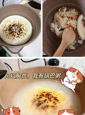 傻厨多功能电热锅电煎锅锅巴粥电饭锅土灶柴火饭 锅巴饭电火锅