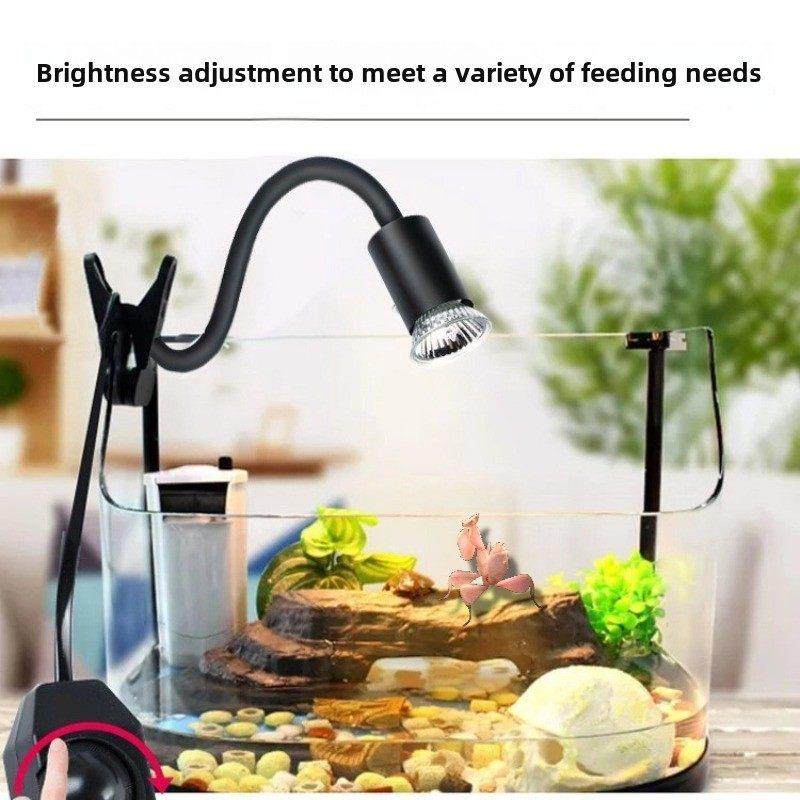 爬宠晒背灯乌龟蜥蜴螳螂爬宠箱防寒UVA保温加热灯宠物专用,淘宝优惠券,粉丝福利购,淘宝优惠卷