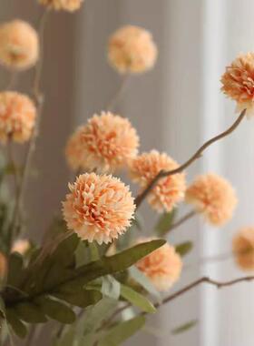 绣球花蒲公英彷真5头蒲公花秋色干设 干假燥花束花家居装餐桌饰客