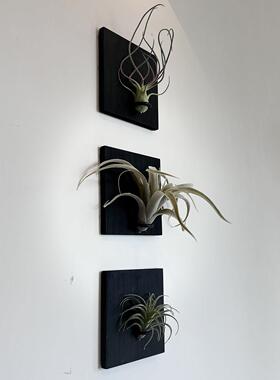 黑木造物天然实木彷真空气凤梨壁饰手作玄关背景墙面装饰画品挂件