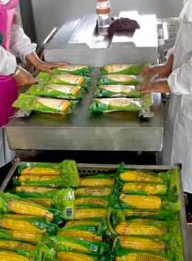 600型双室真空包装机玉米瓜子花生包装机干湿两用食品真空封口机