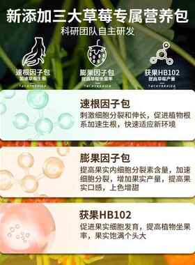 草莓专用营养土瓜果树通用土壤盆栽种植土阳台有机土泥土有机植物