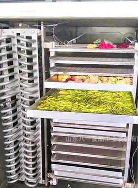 厂家直发果蔬医食品冻干设备大型商用冻干FD食品冻干机