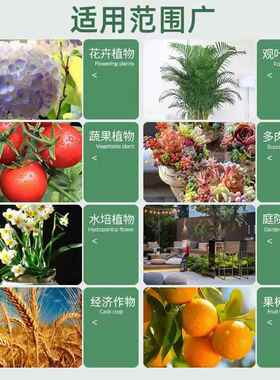 思威博磷酸二氢钾养花肥料水溶花卉植物叶面家用盆栽促花专用