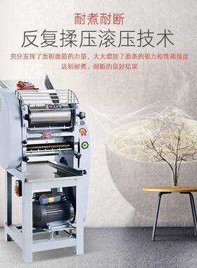 裕飞永强商用正品面条机自动压面揉面面条机揉压切一体式机切面机
