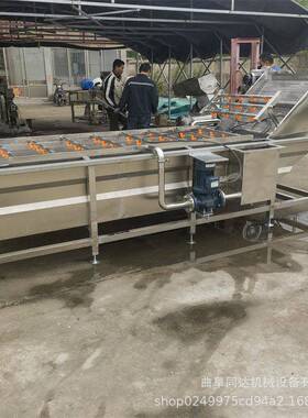 大型水果喷淋气泡清洗机 功能多商用番茄辣椒苹果樱桃快速洗果机