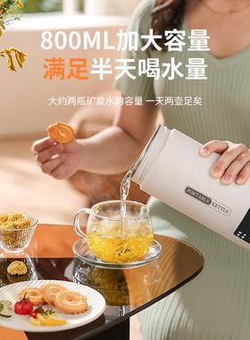 电炖杯多功能电热水杯小型养生杯便携式煮茶壶宿舍煮粥炖煮一体壶