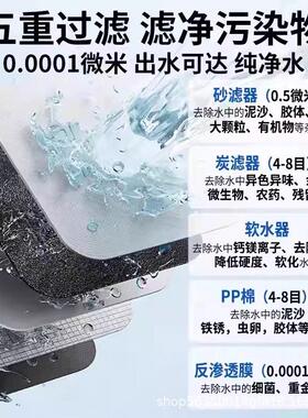 大型工业商用RO反渗透级双级超纯水处理设备锅炉养殖去离子直饮