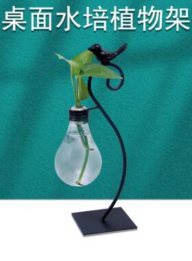 欧式水培植物器皿铁艺插花花器办公室客厅桌面铜钱草瓶摆件
