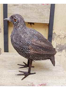 动物模型 仿真鹧鸪小鸟喜鹊 泡沫羽毛工艺品摄影道具场景装饰包邮